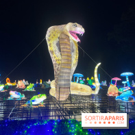 Thoiry Lumières Sauvages 2023 - 2024 - IMG 6334