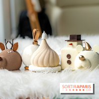 Bûche de Noël de Candy Paradis 2023 -  A7C5073