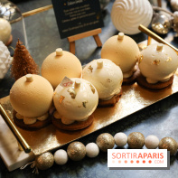 Les Bûches de Noël IG Bas des Belles Envies 2023 - IMG 2780