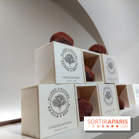 Bûche et chocolats de Noël 2023 signés Alléno & Rivoire - 20230922 100450