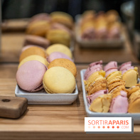 Les Bûches de Noël 2023, calendrier de l'Avent et galette des rois 2024 de Jardin Sucré -  A7C4381