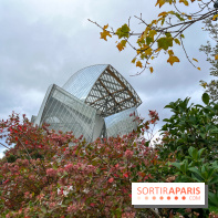 Fondation Louis Vuitton - visuel