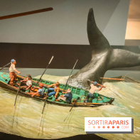 Le Musée de la Marine à Paris et ses collections permanentes