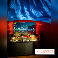 Le Musée de la Marine à Paris et ses collections permanentes