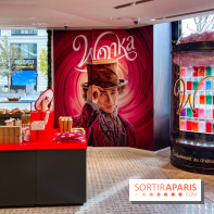 Les vitrines de Noël 2023 de La Samaritaine