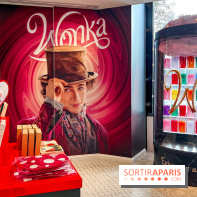 Les vitrines de Noël 2023 de La Samaritaine - image00101