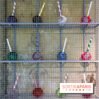 Les vitrines de Noël 2023 de La Samaritaine - image00201