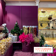 Les vitrines et décors de Noël 2023 du Bon Marché Rive Gauche
