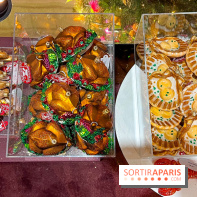 Les vitrines et décors de Noël 2023 du Bon Marché Rive Gauche - image00040