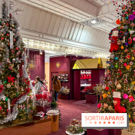 Les vitrines et décors de Noël 2023 du Bon Marché Rive Gauche - image00097