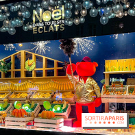 Les vitrines et décors de Noël 2023 du Bon Marché Rive Gauche