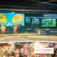 Enquête à Madagascar : nos photos de l'exposition immersive ultra ludique de l'Aquarium tropical - IMG20231113105545