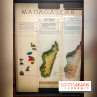 Enquête à Madagascar : nos photos de l'exposition immersive ultra ludique de l'Aquarium tropical
