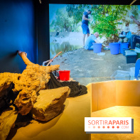 Enquête à Madagascar : nos photos de l'exposition immersive ultra ludique de l'Aquarium tropical