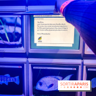 Enquête à Madagascar : nos photos de l'exposition immersive ultra ludique de l'Aquarium tropical - IMG20231113102407