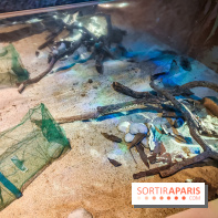 Enquête à Madagascar : nos photos de l'exposition immersive ultra ludique de l'Aquarium tropical - IMG20231113102953