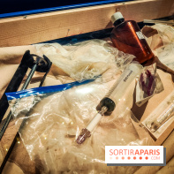 Enquête à Madagascar : nos photos de l'exposition immersive ultra ludique de l'Aquarium tropical - IMG20231113104622