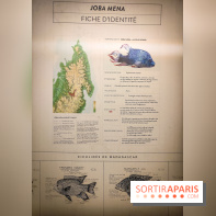 Enquête à Madagascar : nos photos de l'exposition immersive ultra ludique de l'Aquarium tropical - IMG20231113103823