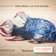 Enquête à Madagascar : nos photos de l'exposition immersive ultra ludique de l'Aquarium tropical - IMG20231113103834