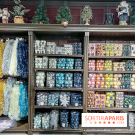 Un Noël Magique à So Ouest - IMG 8353