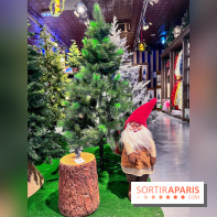 Un Noël Magique à So Ouest
