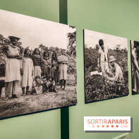 Visions chamaniques : l'exposition du musée du Quai Branly qui nous transporte en Amazonie
