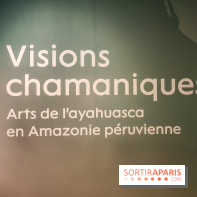 Visions chamaniques : l'exposition du musée du Quai Branly qui nous transporte en Amazonie - IMG20231113145730