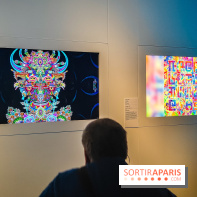 Visions chamaniques : l'exposition du musée du Quai Branly qui nous transporte en Amazonie - IMG20231113155038