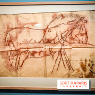 Préhistomania au Musée de l'Homme : l'exposition événement autour de l'art rupestre - nos photos - IMG20231115100400