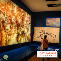 Préhistomania au Musée de l'Homme : l'exposition événement autour de l'art rupestre - nos photos - IMG20231115104802