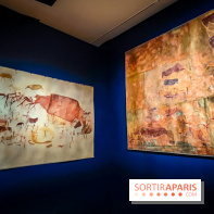 Préhistomania au Musée de l'Homme : l'exposition événement autour de l'art rupestre - nos photos - IMG20231115095942