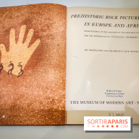 Préhistomania au Musée de l'Homme : l'exposition événement autour de l'art rupestre - nos photos - IMG20231115102949