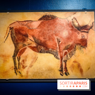 Préhistomania au Musée de l'Homme : l'exposition événement autour de l'art rupestre - nos photos - IMG20231115100219