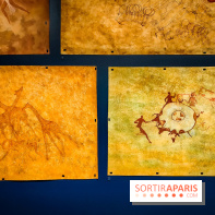 Préhistomania au Musée de l'Homme : l'exposition événement autour de l'art rupestre - nos photos - IMG20231115104717