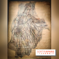 Préhistomania au Musée de l'Homme : l'exposition événement autour de l'art rupestre - nos photos - IMG20231115100312