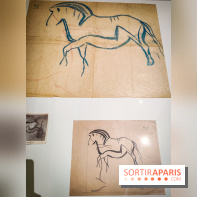 Préhistomania au Musée de l'Homme : l'exposition événement autour de l'art rupestre - nos photos - IMG20231115100300