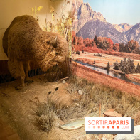 Le brunch du Comptoir Général - nos photos - image00001