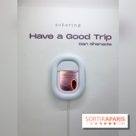 Exposition immersive Have a Good Trip Dan Ghenacia Sobering Galerie