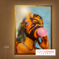 Lucha Libre à l'Institut culturel du Mexique - IMG 6789 2