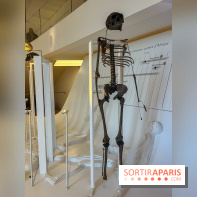 Le musée de l'Homme - collections permanentes