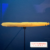 Le musée de l'Homme - collections permanentes