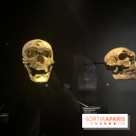 Le musée de l'Homme - collections permanentes