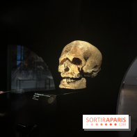 Le musée de l'Homme - collections permanentes