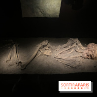 Le musée de l'Homme - collections permanentes
