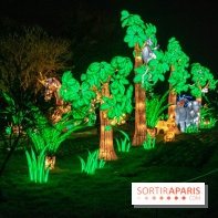 Jungle en voie d'illumination Jardin des Plantes
