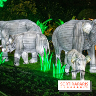 Jungle en voie d'illumination Jardin des Plantes