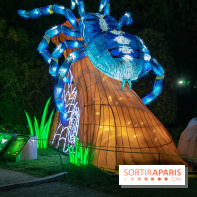 Jungle en voie d'illumination Jardin des Plantes