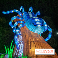 Jungle en voie d'illumination Jardin des Plantes