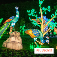 Jungle en voie d'illumination Jardin des Plantes