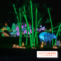 Jungle en voie d'illumination Jardin des Plantes